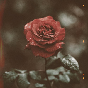 Can't You Tell I'm Struggling