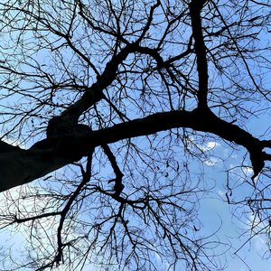 我遗憾的不是分开