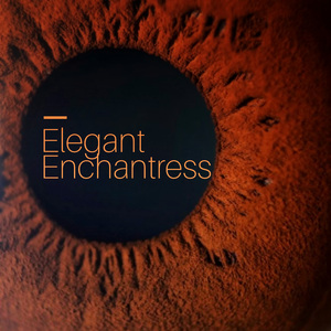 Thoughtful Rejuvenate