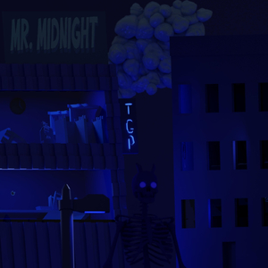 Mr. Midnight