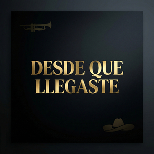 Desde que llegaste