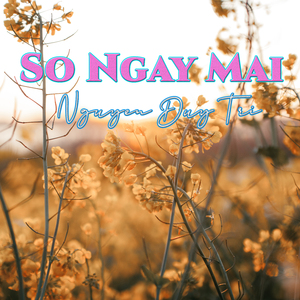 Mau Mua Nang