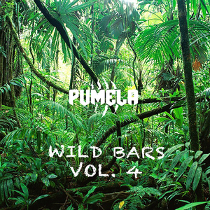 Wild Bars, Vol. 4