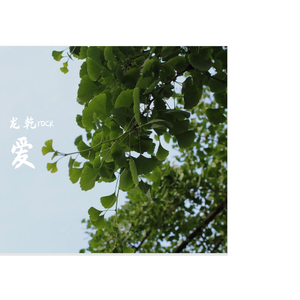 至少还有你