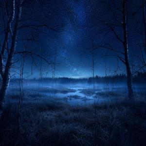 Stardust