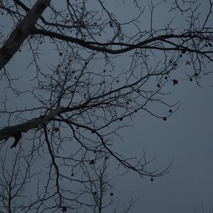 杀死那个石家庄人（Cover万青 弹唱）