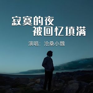 寂寞的夜被回忆填满