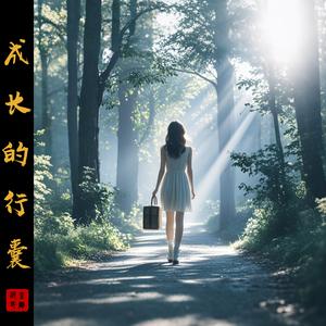 成长的行囊