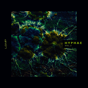 Wait for Me (Nitemer Remix)