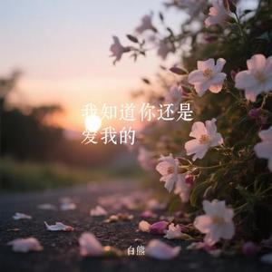 我知道你还是爱我的 (Remix)