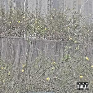 我受不了了（Prod by.SobTec99）