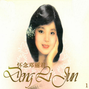 月亮代表我的心