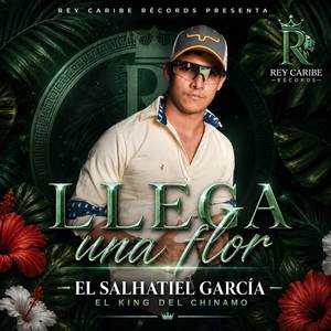 LLEGA UNA FLOR