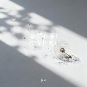 痛彻心扉 (DJ深情版) (萤火 Remix)