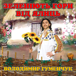 Зеленіють гори від ялиць
