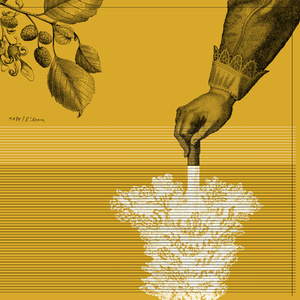 Exuma (2022 Remaster)