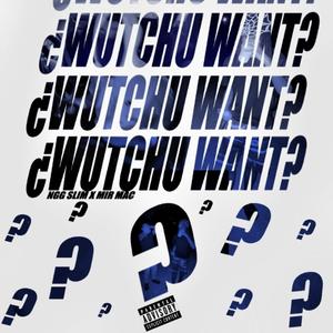 ¿Wutchu Want? (feat. Mir mAc)