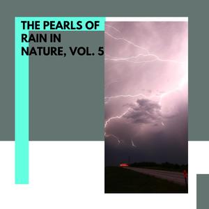 Steady Thick Splashes