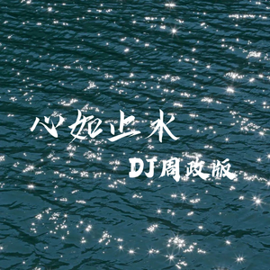 心如止水（DJ周政版）