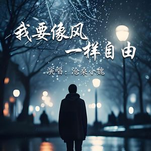 我要像风一样自由