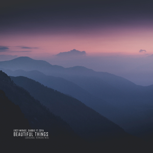 Beautiful Things (Rework Mix)