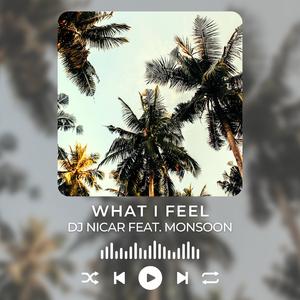 What I Feel (feat. Monsoon)