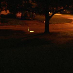 falling asleep in your arms