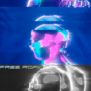 Free Roam