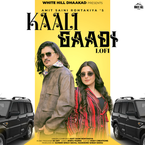 Kaali Gaadi Lo-Fi