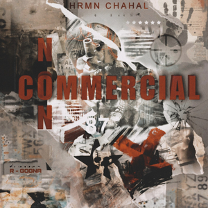 Non Commercial