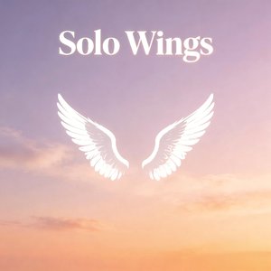 LOA-Solo Wings - Remix（LOA remix）