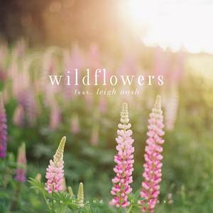 Wildflowers