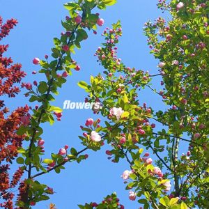 BB88(cover：方大同)