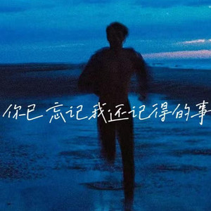 你已忘记但我还记得的事