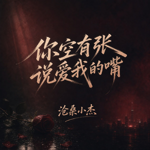 你空有张说爱我的嘴