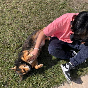 Veo de Colores Cuando Estas Vos