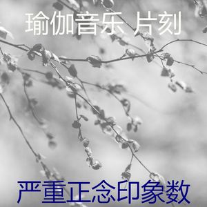 柔和的养生时刻