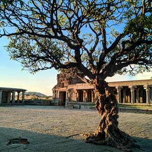 【FREE】WOOH Drill