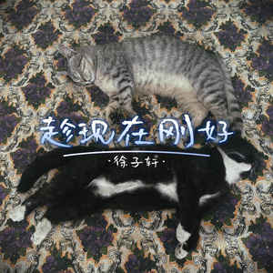 趁现在刚好 伴奏