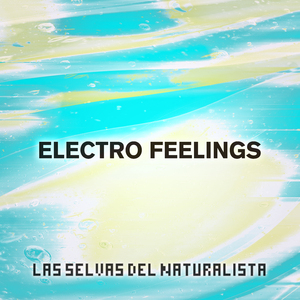 Los Adelgazamientos Del Dia