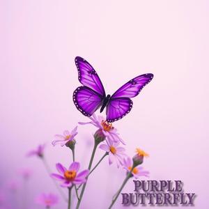 Purple Butterfly