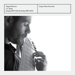 V. Ciaccona (Arr. M. Rincon for lute)