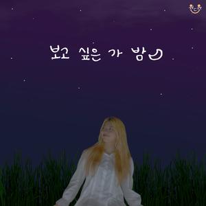 밤(보고 싶은 가 밤)