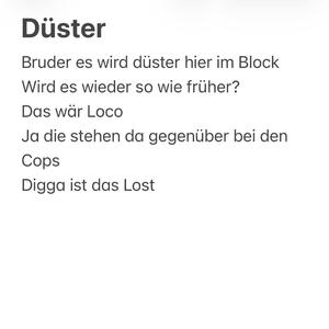 Düster (feat. Raoul Leonard & OTK)