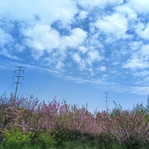 春日郊野治愈之旅