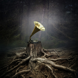 Месть Королевы Анны