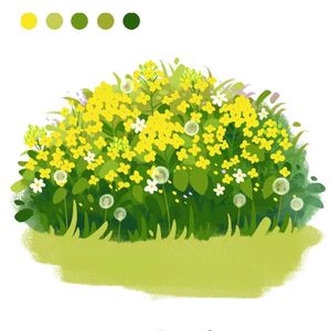 随便恧农村姑娘