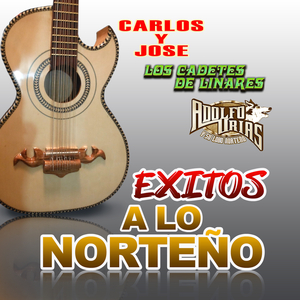 Maldiciendo Mi Destino