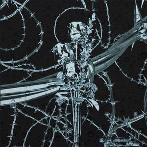 情乱玫瑰雨夜梦