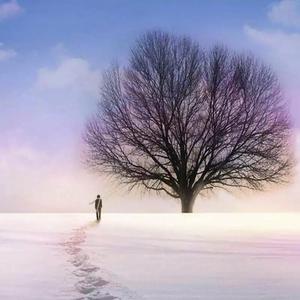 少年锦时 半音阶口琴